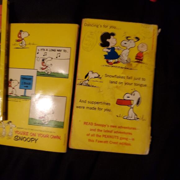 Snoopy Comic - Picture 3 of 4